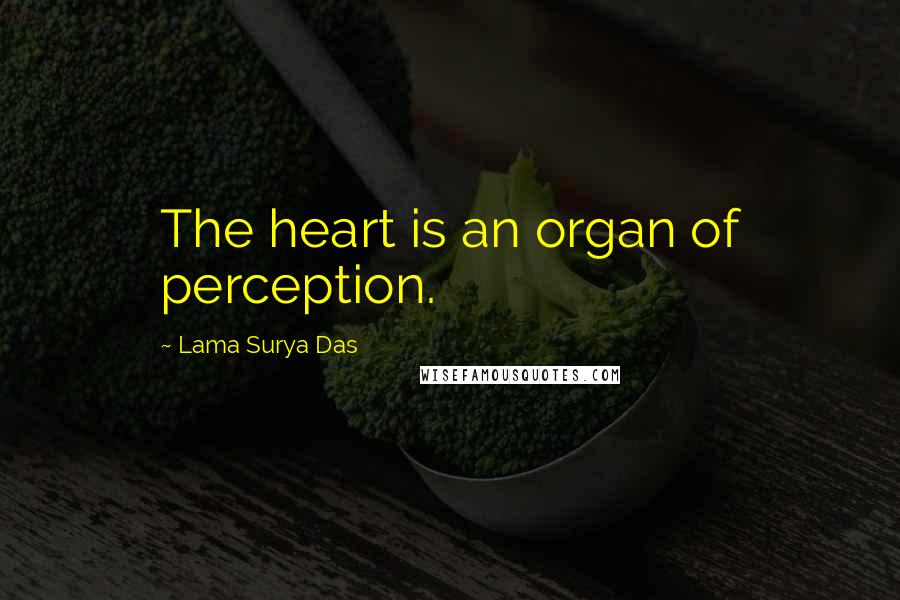 Lama Surya Das Quotes: The heart is an organ of perception.