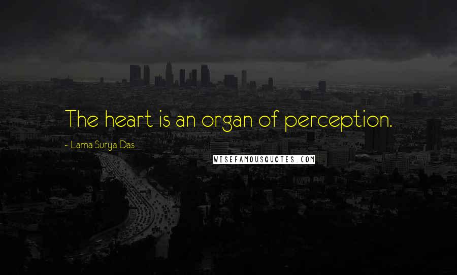 Lama Surya Das Quotes: The heart is an organ of perception.
