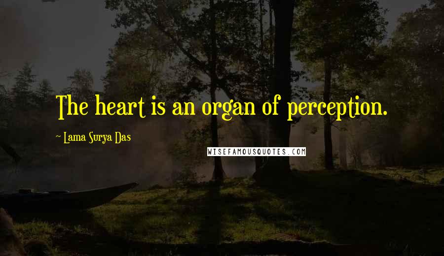 Lama Surya Das Quotes: The heart is an organ of perception.