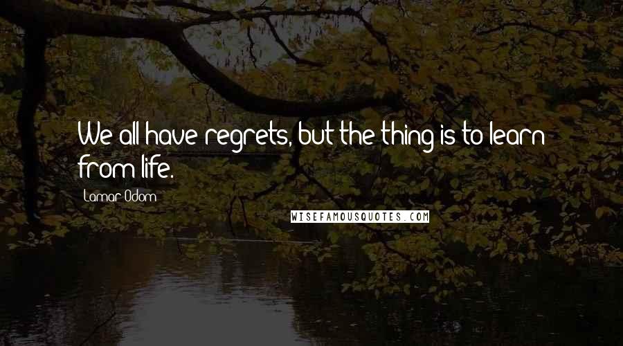 Lamar Odom Quotes: We all have regrets, but the thing is to learn from life.