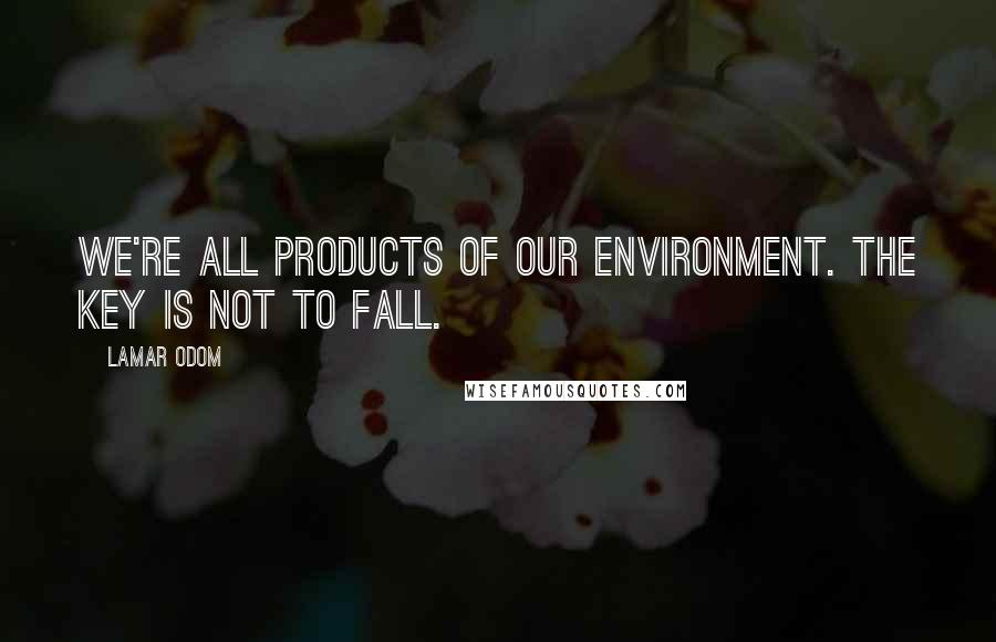 Lamar Odom Quotes: We're all products of our environment. The key is not to fall.