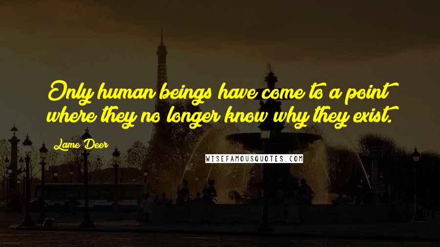 Lame Deer Quotes: Only human beings have come to a point where they no longer know why they exist.