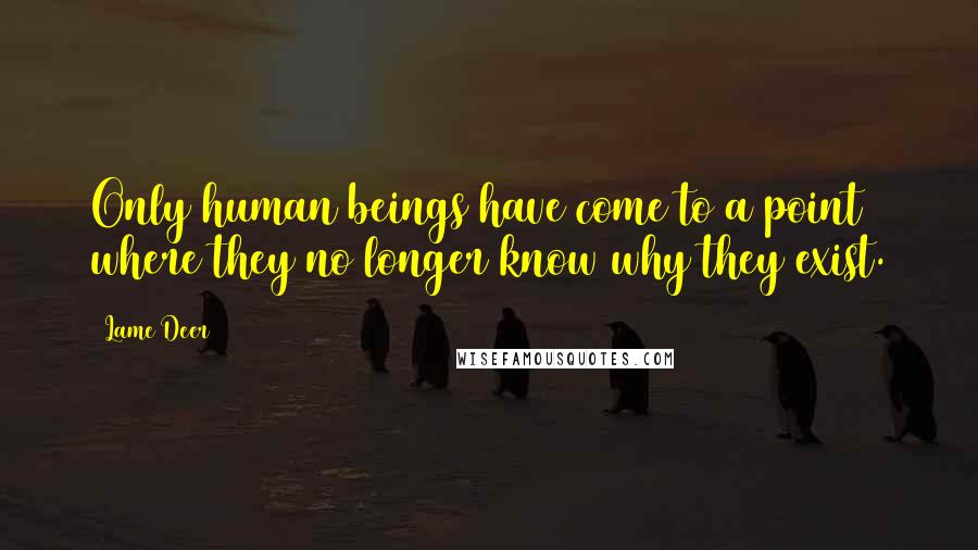 Lame Deer Quotes: Only human beings have come to a point where they no longer know why they exist.