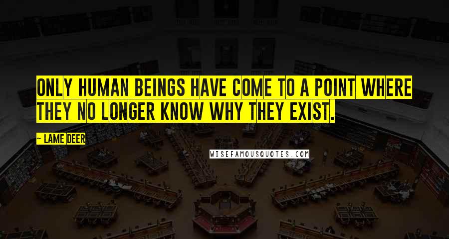 Lame Deer Quotes: Only human beings have come to a point where they no longer know why they exist.