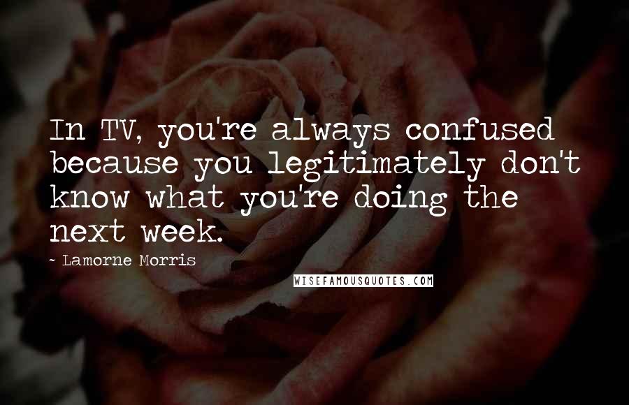 Lamorne Morris Quotes: In TV, you're always confused because you legitimately don't know what you're doing the next week.