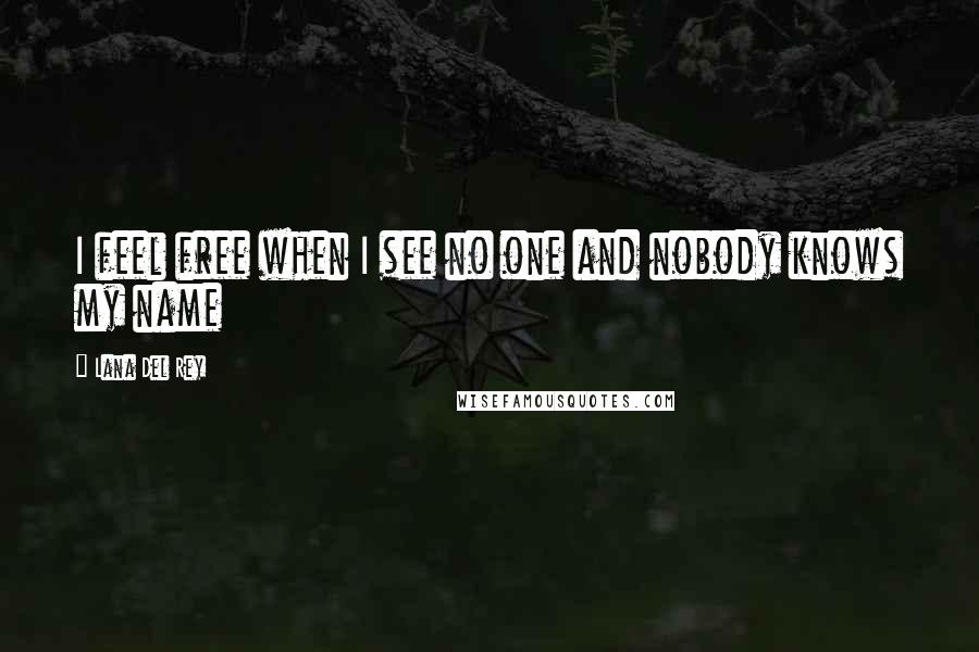 Lana Del Rey Quotes: I feel free when I see no one and nobody knows my name