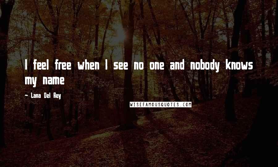 Lana Del Rey Quotes: I feel free when I see no one and nobody knows my name