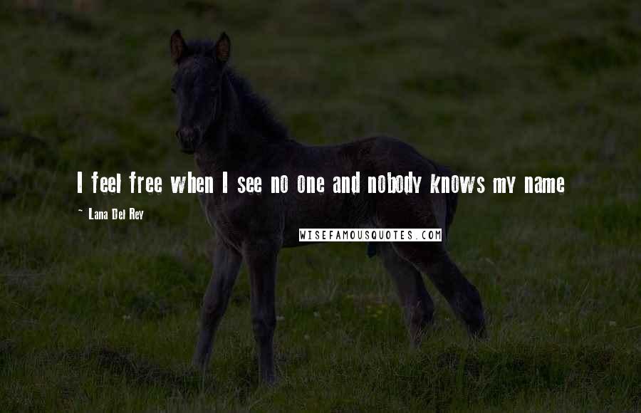 Lana Del Rey Quotes: I feel free when I see no one and nobody knows my name