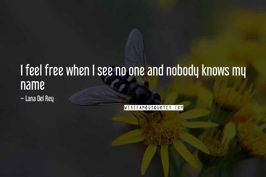 Lana Del Rey Quotes: I feel free when I see no one and nobody knows my name