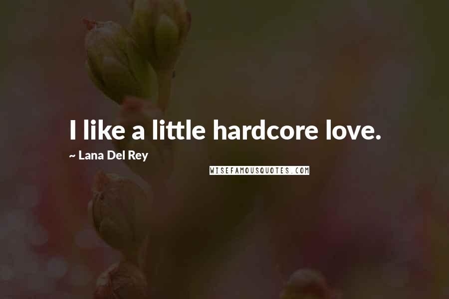 Lana Del Rey Quotes: I like a little hardcore love.