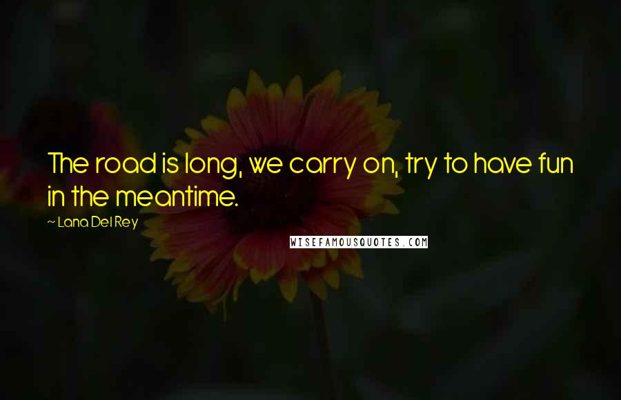 Lana Del Rey Quotes: The road is long, we carry on, try to have fun in the meantime.