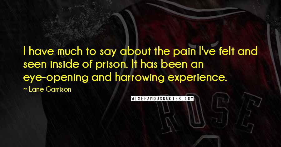Lane Garrison Quotes: I have much to say about the pain I've felt and seen inside of prison. It has been an eye-opening and harrowing experience.