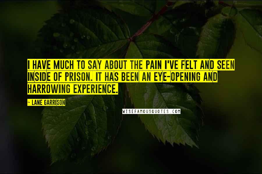 Lane Garrison Quotes: I have much to say about the pain I've felt and seen inside of prison. It has been an eye-opening and harrowing experience.
