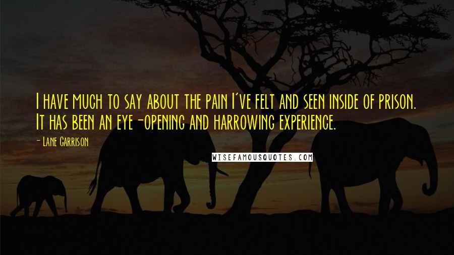 Lane Garrison Quotes: I have much to say about the pain I've felt and seen inside of prison. It has been an eye-opening and harrowing experience.