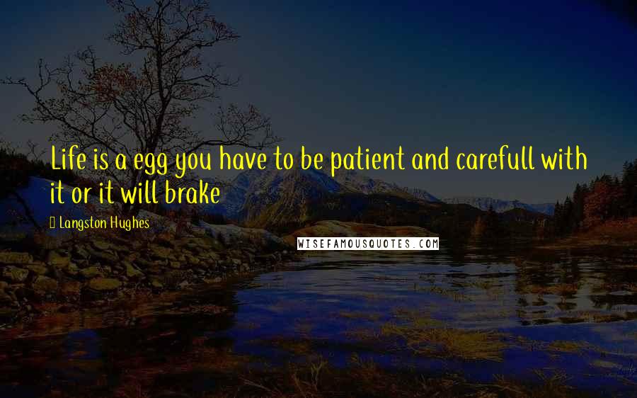 Langston Hughes Quotes: Life is a egg you have to be patient and carefull with it or it will brake