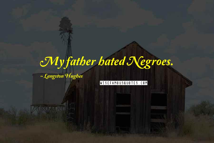Langston Hughes Quotes: My father hated Negroes.
