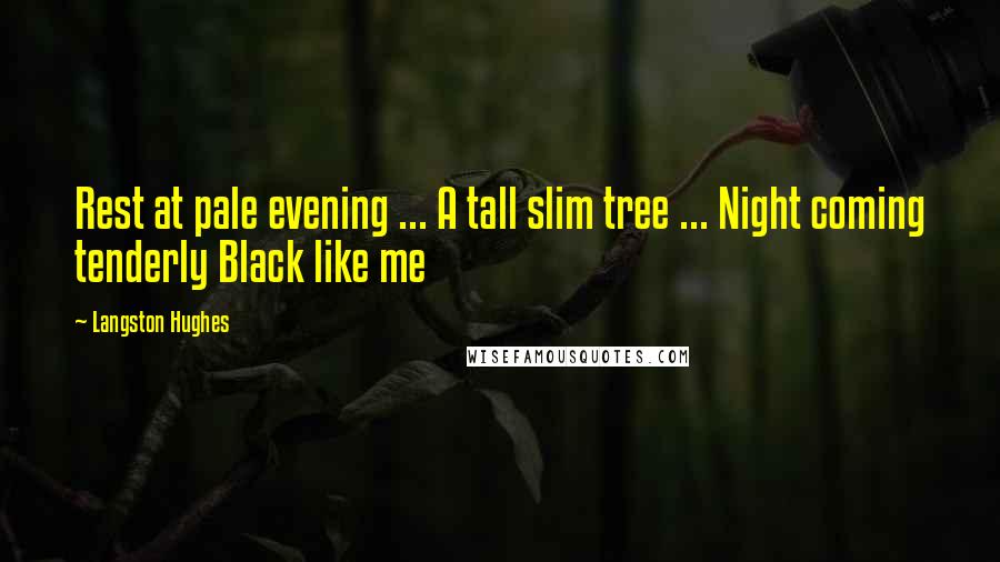 Langston Hughes Quotes: Rest at pale evening ... A tall slim tree ... Night coming tenderly Black like me