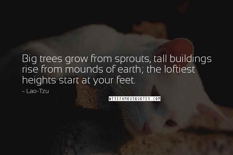 Lao-Tzu Quotes: Big trees grow from sprouts, tall buildings rise from mounds of earth; the loftiest heights start at your feet.