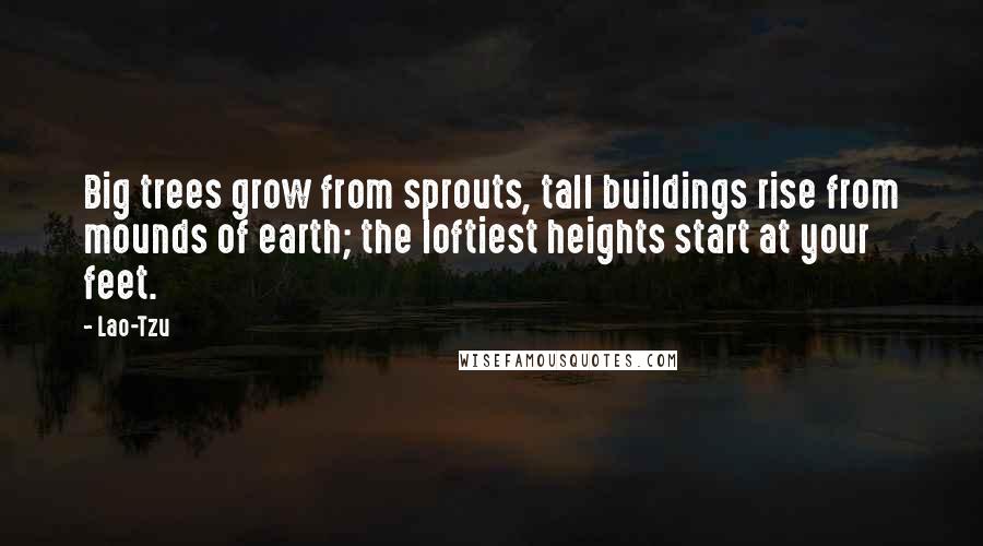 Lao-Tzu Quotes: Big trees grow from sprouts, tall buildings rise from mounds of earth; the loftiest heights start at your feet.