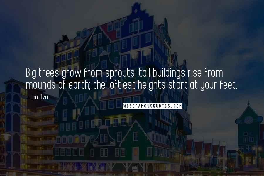 Lao-Tzu Quotes: Big trees grow from sprouts, tall buildings rise from mounds of earth; the loftiest heights start at your feet.