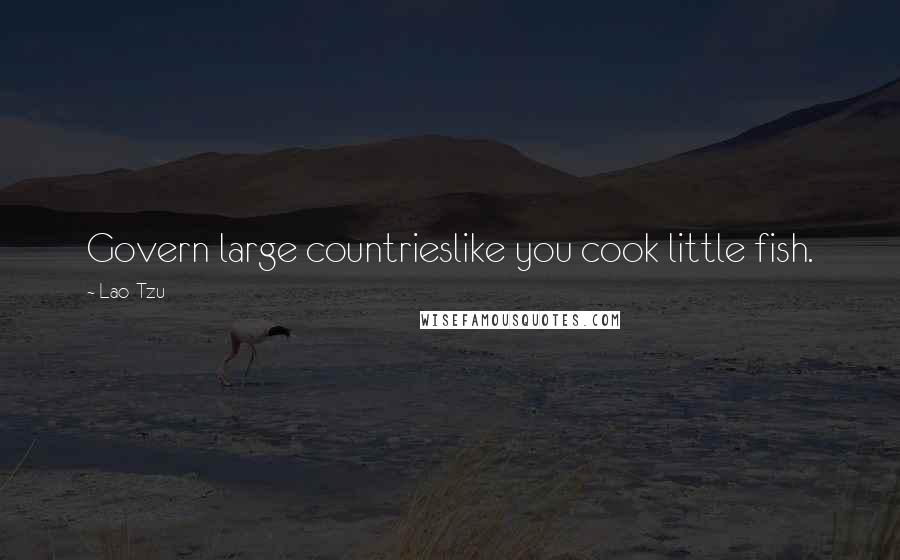 Lao-Tzu Quotes: Govern large countrieslike you cook little fish.