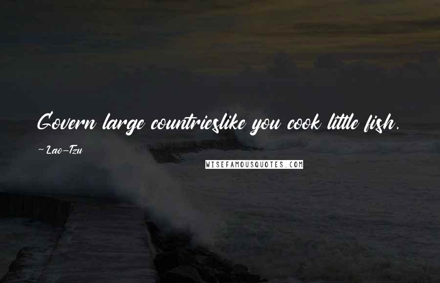 Lao-Tzu Quotes: Govern large countrieslike you cook little fish.