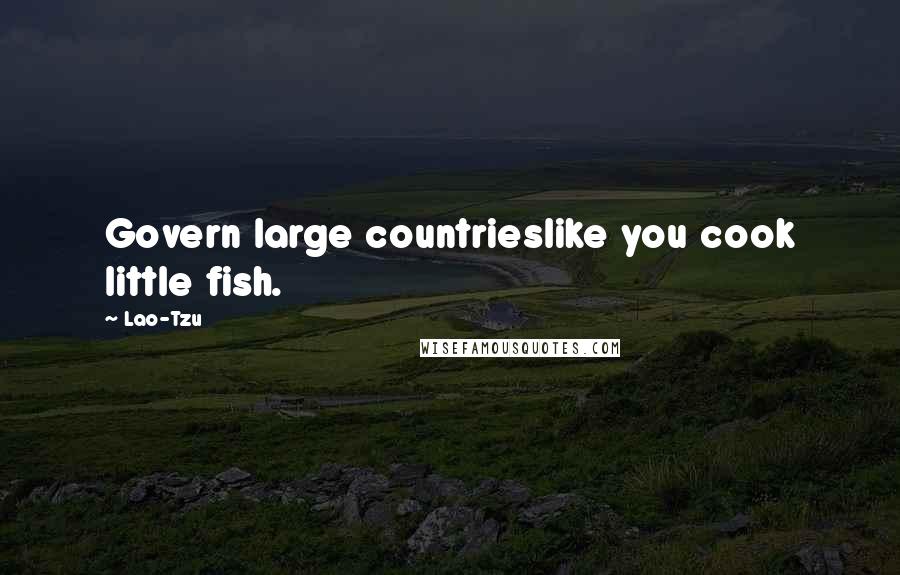 Lao-Tzu Quotes: Govern large countrieslike you cook little fish.