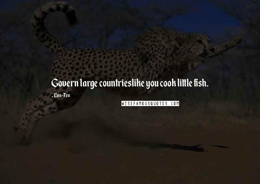 Lao-Tzu Quotes: Govern large countrieslike you cook little fish.