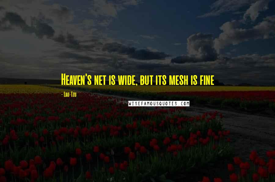 Lao-Tzu Quotes: Heaven's net is wide, but its mesh is fine