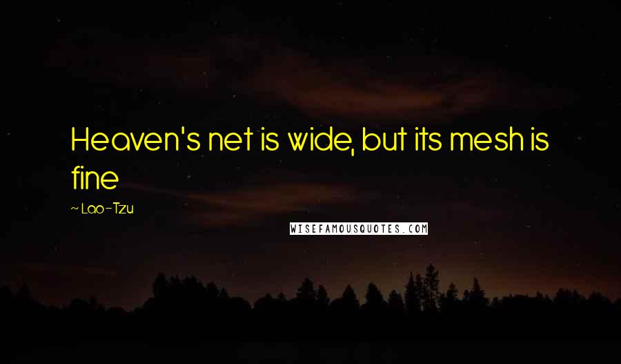 Lao-Tzu Quotes: Heaven's net is wide, but its mesh is fine