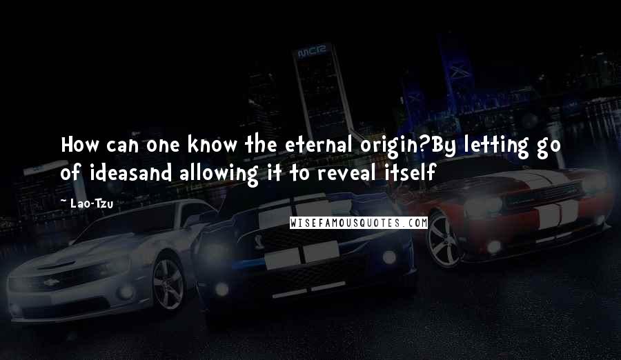 Lao-Tzu Quotes: How can one know the eternal origin?By letting go of ideasand allowing it to reveal itself