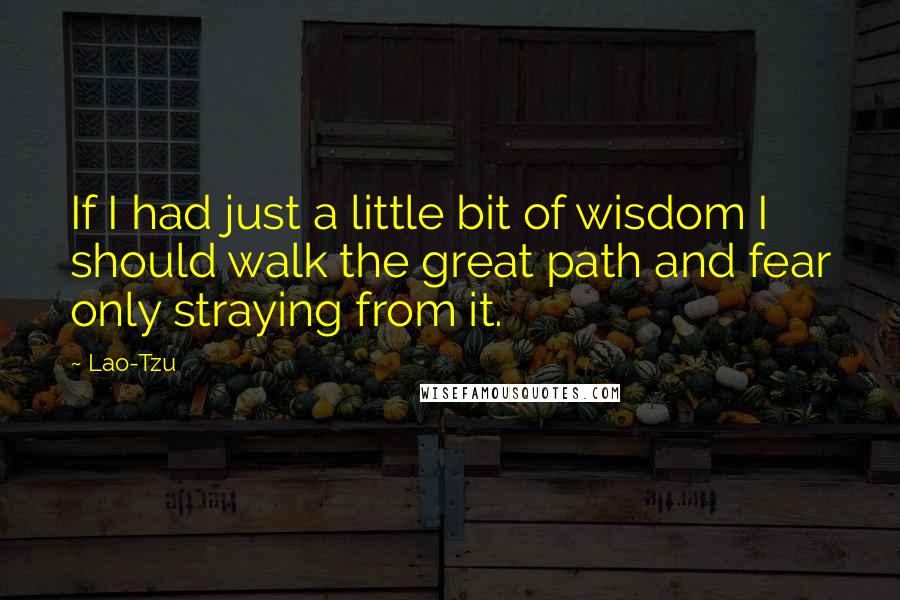 Lao-Tzu Quotes: If I had just a little bit of wisdom I should walk the great path and fear only straying from it.