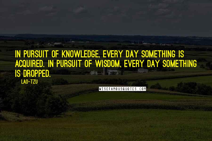 Lao-Tzu Quotes: In pursuit of knowledge, every day something is acquired. In pursuit of wisdom, every day something is dropped.