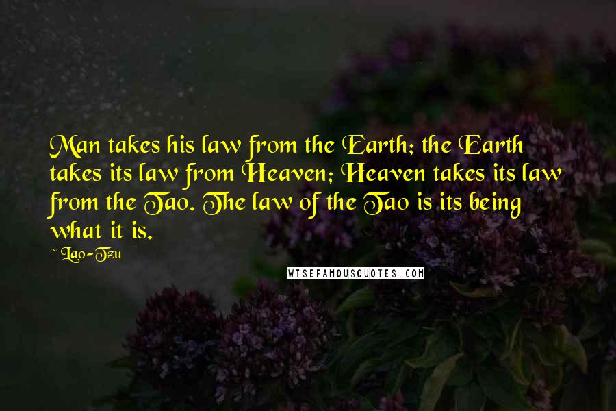 Lao-Tzu Quotes: Man takes his law from the Earth; the Earth takes its law from Heaven; Heaven takes its law from the Tao. The law of the Tao is its being what it is.