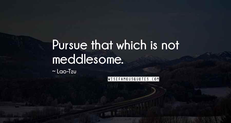 Lao-Tzu Quotes: Pursue that which is not meddlesome.