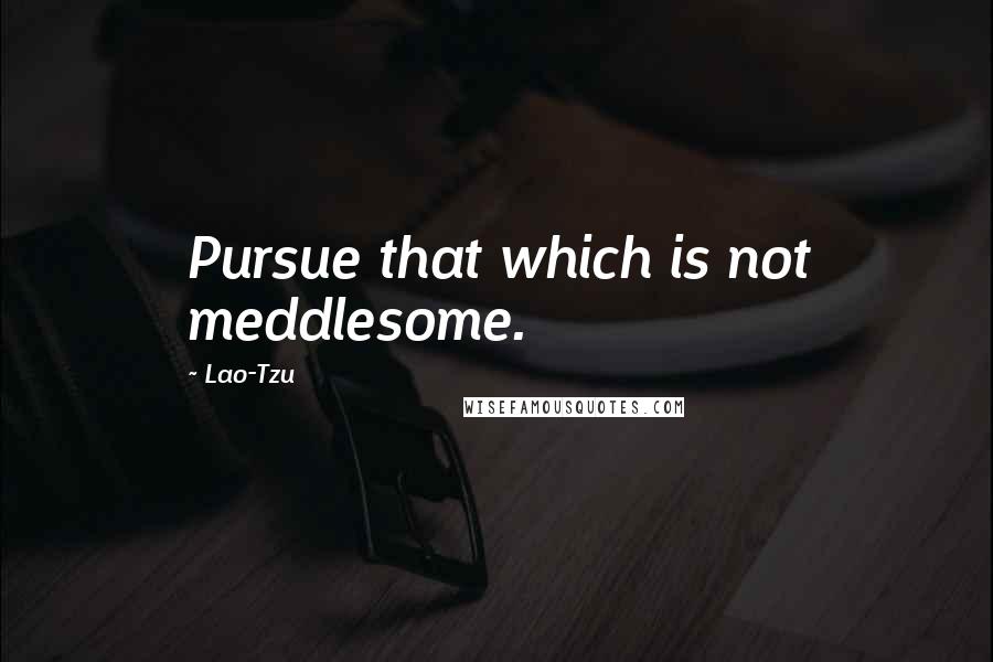 Lao-Tzu Quotes: Pursue that which is not meddlesome.