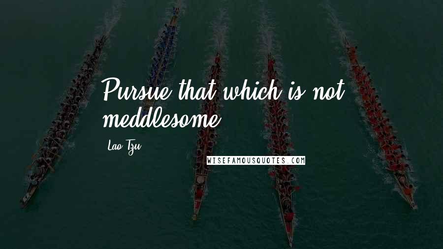 Lao-Tzu Quotes: Pursue that which is not meddlesome.