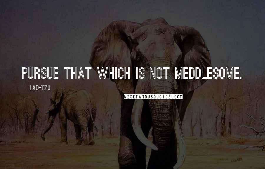 Lao-Tzu Quotes: Pursue that which is not meddlesome.