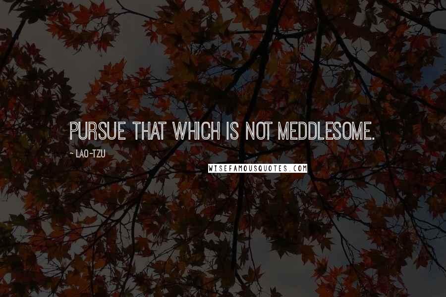 Lao-Tzu Quotes: Pursue that which is not meddlesome.