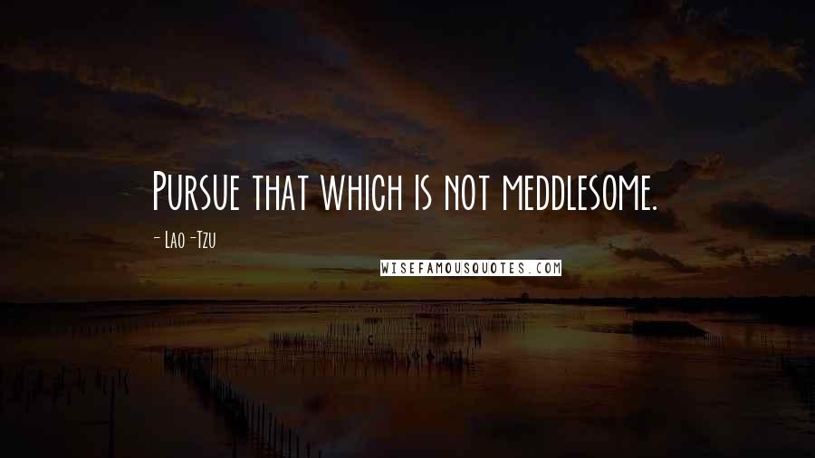 Lao-Tzu Quotes: Pursue that which is not meddlesome.