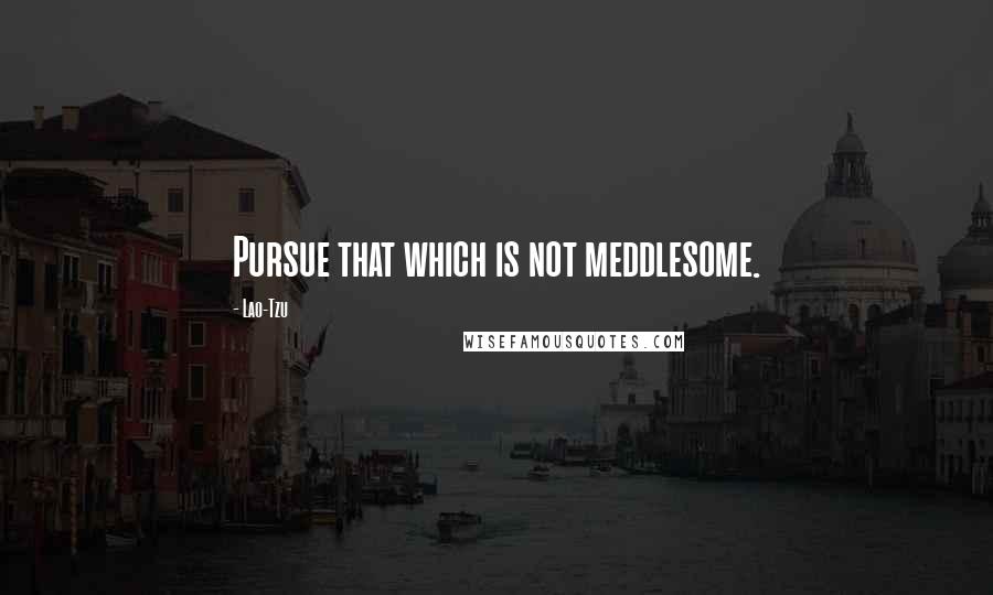 Lao-Tzu Quotes: Pursue that which is not meddlesome.