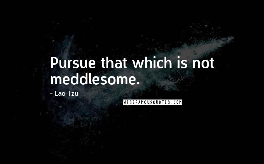 Lao-Tzu Quotes: Pursue that which is not meddlesome.