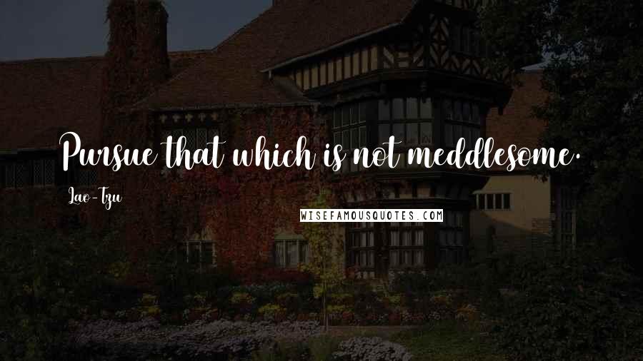 Lao-Tzu Quotes: Pursue that which is not meddlesome.