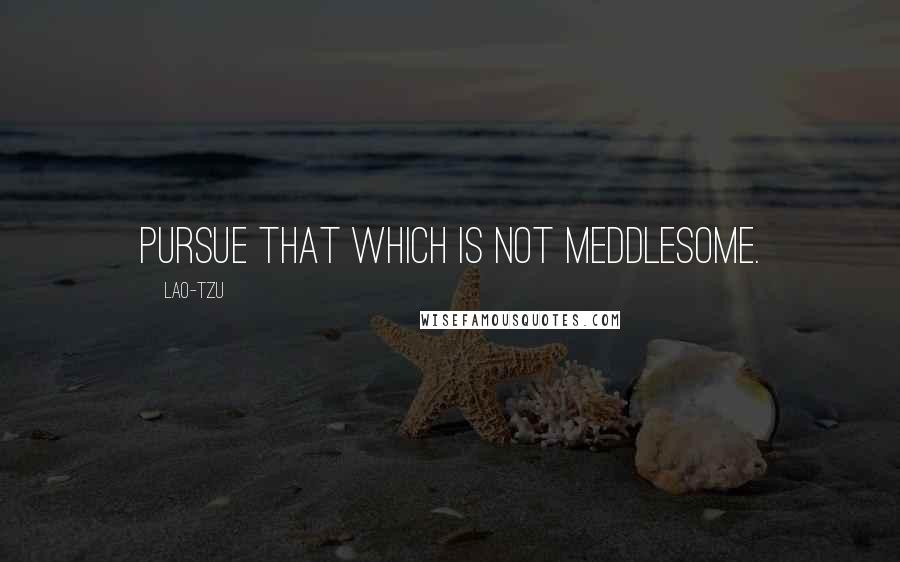 Lao-Tzu Quotes: Pursue that which is not meddlesome.