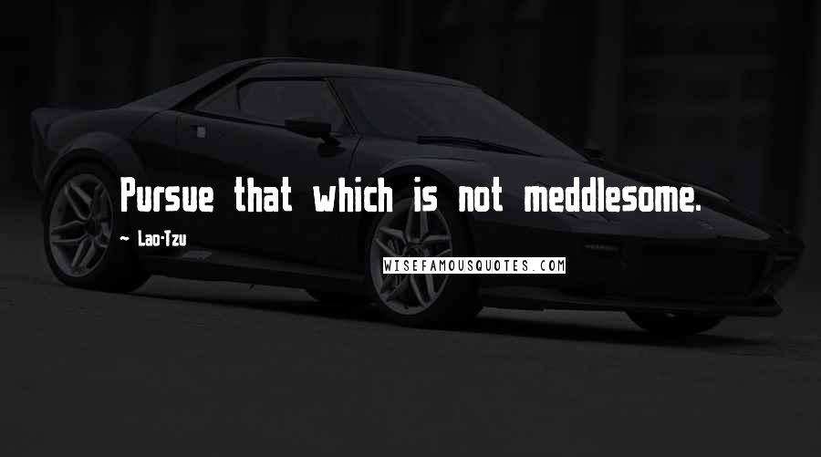Lao-Tzu Quotes: Pursue that which is not meddlesome.