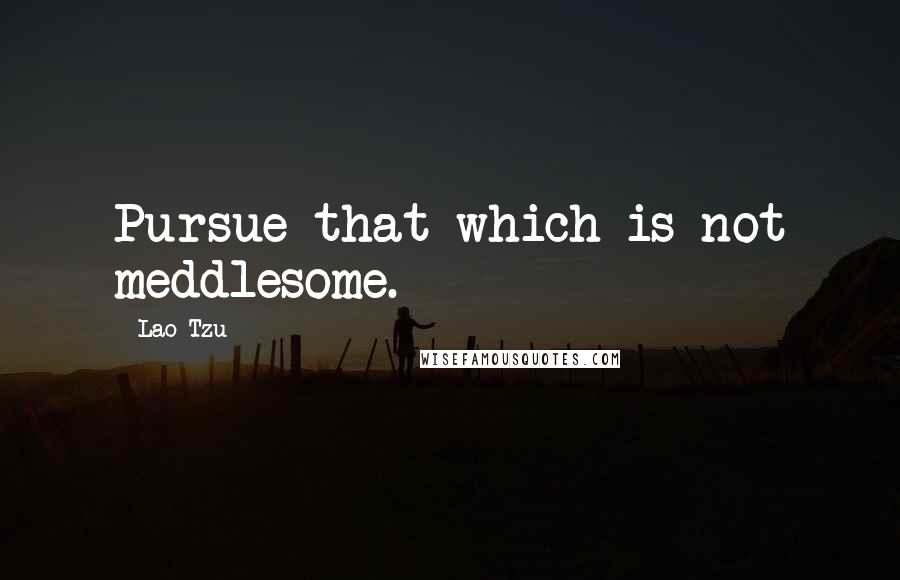 Lao-Tzu Quotes: Pursue that which is not meddlesome.