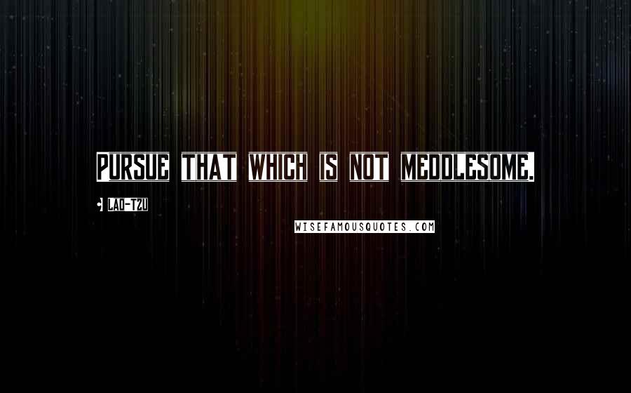 Lao-Tzu Quotes: Pursue that which is not meddlesome.