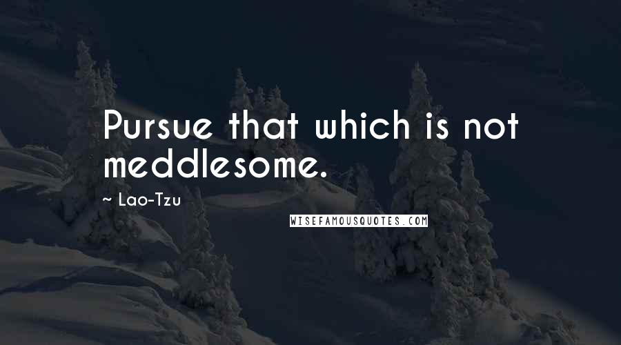 Lao-Tzu Quotes: Pursue that which is not meddlesome.