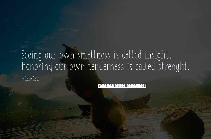 Lao-Tzu Quotes: Seeing our own smallness is called insight, honoring our own tenderness is called strenght.