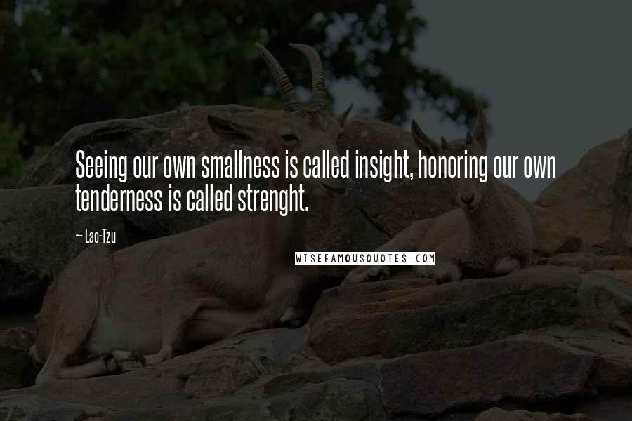 Lao-Tzu Quotes: Seeing our own smallness is called insight, honoring our own tenderness is called strenght.